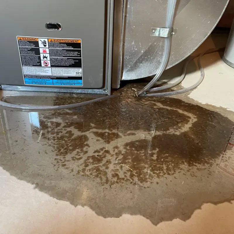 Appliance Leak Cleanup in Tom Green County, TX